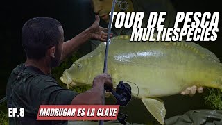 Como pesco Carpfishing a LANCE DE CAÑA - CARPFISHING en FRANCIA - TOUR DE PESCA Nº5 EP. 8