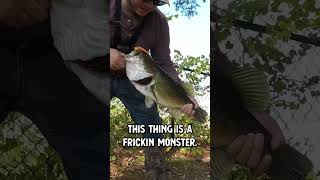 Catching my biggest largemouth bass! PB BROKEN!