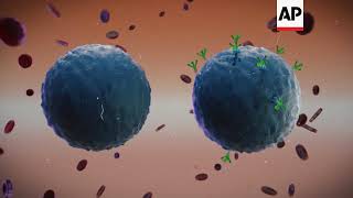 A Look at How CAR-T Cell Therapy Works