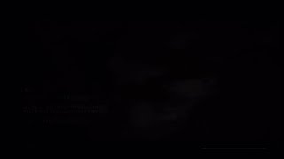 SEKIRO 葦名弦一郎 簡単かつシンプル攻略動画