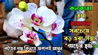 কলকাতা তথা ভারতের সবচেয়ে বড় এবং সস্তা গাছের হাট | Galiff Street | Kolkata's largest plant market