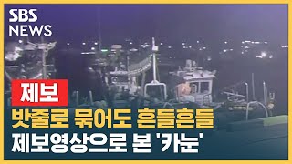 [태풍 카눈 | 제보] 밧줄로 묶어도 흔들흔들…시청자 제보로 본 '카눈' / SBS / 뉴스특보