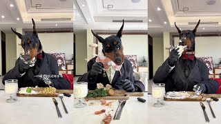 【狗狗試吃官】我宣布我就是最會吃的狗，但吃的也太埋汰了#pet #dog #萌宠 #狗狗吃播 #不养狗不知道养狗的乐趣 #狗狗吃饭