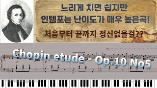 [NWC사보] Chopin(쇼팽) - Op.10 No.5 (Black key)