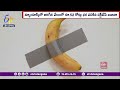 banana art sold for a whopping 52 cr in newyork న్యూయార్క్ వేలంలో 52 కోట్లు పలికిన అరటిపండు ఆర్ట్