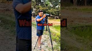 Budget Camera | Wildlife Photography  | Nikon Coolpix #viral #birds #video #shorts #reels #nature