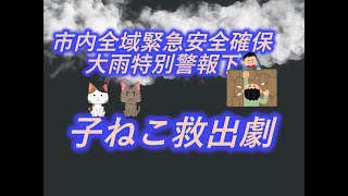 【災害 緊急】大雨！子ねこ救出作戦