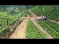 drone spraying at drayton tea estate kotagala