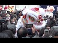 横浜中華街 春節 2017 娯楽表演 獅子舞 yokohama china town lion dance new year 2017