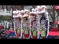 横浜中華街 春節 2017 娯楽表演 獅子舞 yokohama china town lion dance new year 2017