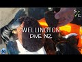 NZ Wellington Free-diving and Spearfish