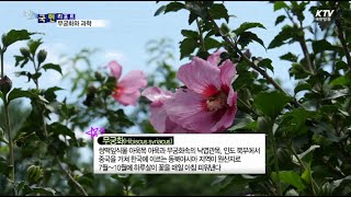 과학으로 분석한 나라꽃 무궁화