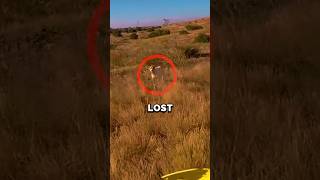 Biker Finds His Lost Dog