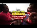 Pre order your Qurbani. Help feed orphans and their communities this Eid ul-Adha.