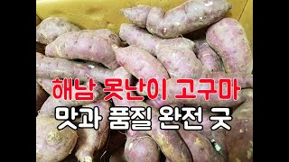 해남 산지직송으로 못난이고구마를 아주싼가격에 구매했는데  고구마가 너무 좋네