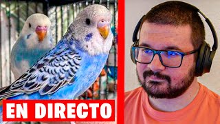 CHARLANDO CON SUSCRIPTORES EN DIRECTO