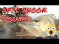 SNOOK FIGHT COMPILATION with Capt. Rick Murphy | Florida Insider Fishing Report