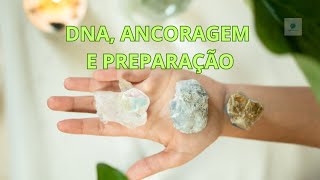 🧬 DNA, Ancoragem e Preparação 🧬