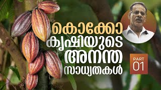 കൊക്കോ കൃഷിയുടെ അനന്ത സാധ്യതകൾ Part 1🌿🦪 | Endless Possibilities and Knowledge of Cocoa Farming Part1