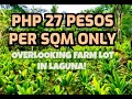 (Property# 15) ❗SOLD❗PHP 27 PESOS PER SQM -2 HECTARES OVERLOOKING FARM LOT IN LAGUNA