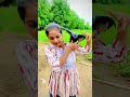 કેવુ સરસ મજાનું કબુતર છે🐦 youtube viral video youtube short gujarati status new trending youtube