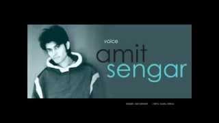 tum he ho from aashiqui 2 You are The One voice Amit Sengar