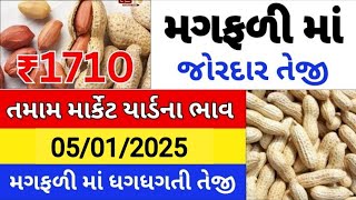 મગફળીના ભાવ | મગફળીના બજાર ભાવ |Mugfali ke price |market yard na bhav#magfali #મગફળી #બજારભાવ