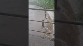 Hochwasser Landwehrbach Castrop-Rauxel 14.07.21 RRB läuft voll.