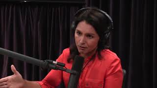 Joe Rogan & Tulsi Gabbard - Discussing Universal Basic Income