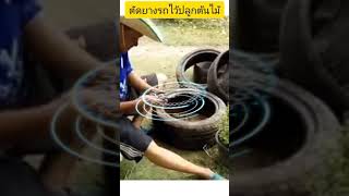 วิธีตัดยางรถไว้ปลูกต้นไม้ #shorts #youtube #nature #organic #diy #howto  /Arpo the jomyung