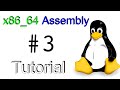 x86_64 Linux Assembly #3 - Jumps, Calls, Comparisons