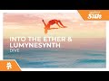 Into The Ether & Lumynesynth - Dive [Monstercat Release]