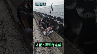 這個男人太孝順了 ~        #瑪吉 #北海岸 #磯釣 #黑鯛 #三芝 #台灣  #釣魚