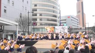 大阪大学お祭りダンスサークル祭楽人 浜松がんこ祭り2016(ヤマハ会場)