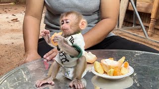 Foodie BB Tori So Delicious Eating Fruit On Table In Yard