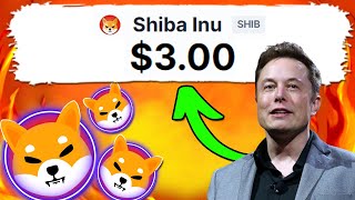 ELON MUSK JUST REVEALED WHY DOES HE WANT SHIBA INU $3.00!! - SHIB NEWS