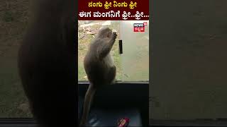 Haveri Monkey Travel in Bus | ನಂಗು ಫ್ರೀ ನಿಂಗು ಫ್ರೀ ಈಗ ಮಂಗನಿಗೆ ಫ್ರೀ..ಫ್ರೀ...