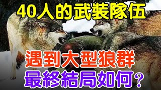 40人的武裝隊伍，遇到大型狼群，最終結局如何？#大案紀實 #刑事案件 #案件解說#真實案件