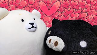 [Stuffed animals] Polar bears and black pigs are good friends