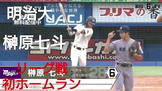 明治大学　榊原七斗　リーグ戦初ホームラン(全播磨硬式野球団ヤング-報徳学園)【2024年 東京六大学野球秋季リーグ戦】2026年ドラフト候補