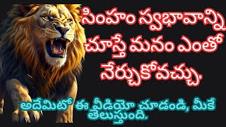 సింహం స్వభావాన్ని చూస్తే మనం ఎంతో నేర్చుకోవచ్చు  అదేమిటో ఈ వీడియో చూడండి, మీకే తెలుస్తుంది  1