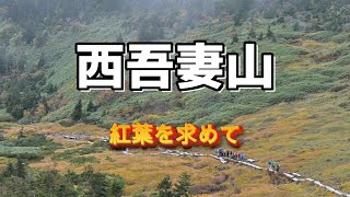 【日本百名山】紅葉を求めて天元台コースで登る西吾妻山