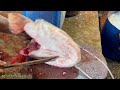 amazing fish in bangladesh giant wallago attu boal fish cutting live in fish market