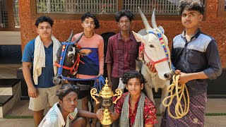 യുവ തലമുറക്കും ഹരമായി കാളപ്പൂട്ട്, ഓടി കപ്പ് എടുത്തു #cowfarming