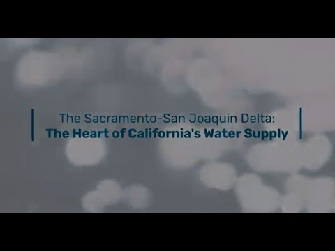 Is the California Delta freshwater or saltwater?