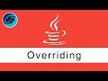 Overriding - Java Programming