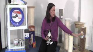 Selecting a Scratching Post for Your Cat