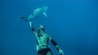 Spearfishing the artificial reefs