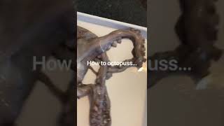 How to cook octopus