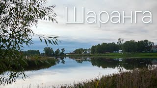 🌿Шаранга🌿 - жемчужина Нижегородской области 🏡 Интервью